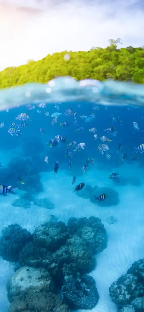 夏天美景图片大全高清图片