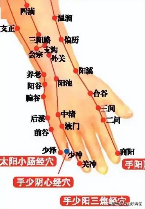 道理也很简单,从人体经络不难看出,我们的手背为手三阳经所行循之地.