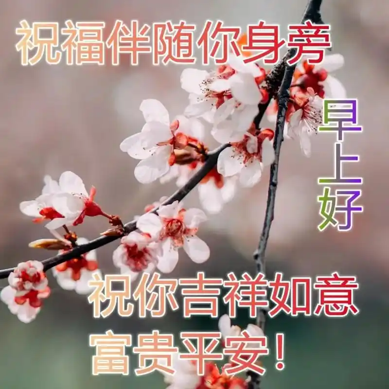 微信群发早上好祝福朋友图,最美的清晨早上好问候祝福图片表情