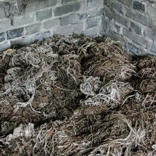 纸文化博物馆-构树皮