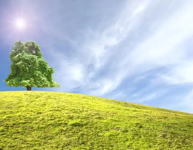 清新唯美草坡图片,图片,壁纸,自然风景-桌酷