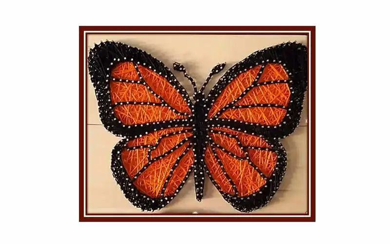 图钉画-string art-蝴蝶-butterfly-1