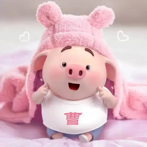 福利丨猪小屁超萌的姓氏微信头像50多个,来找找你的姓氏吧_手机搜狐网