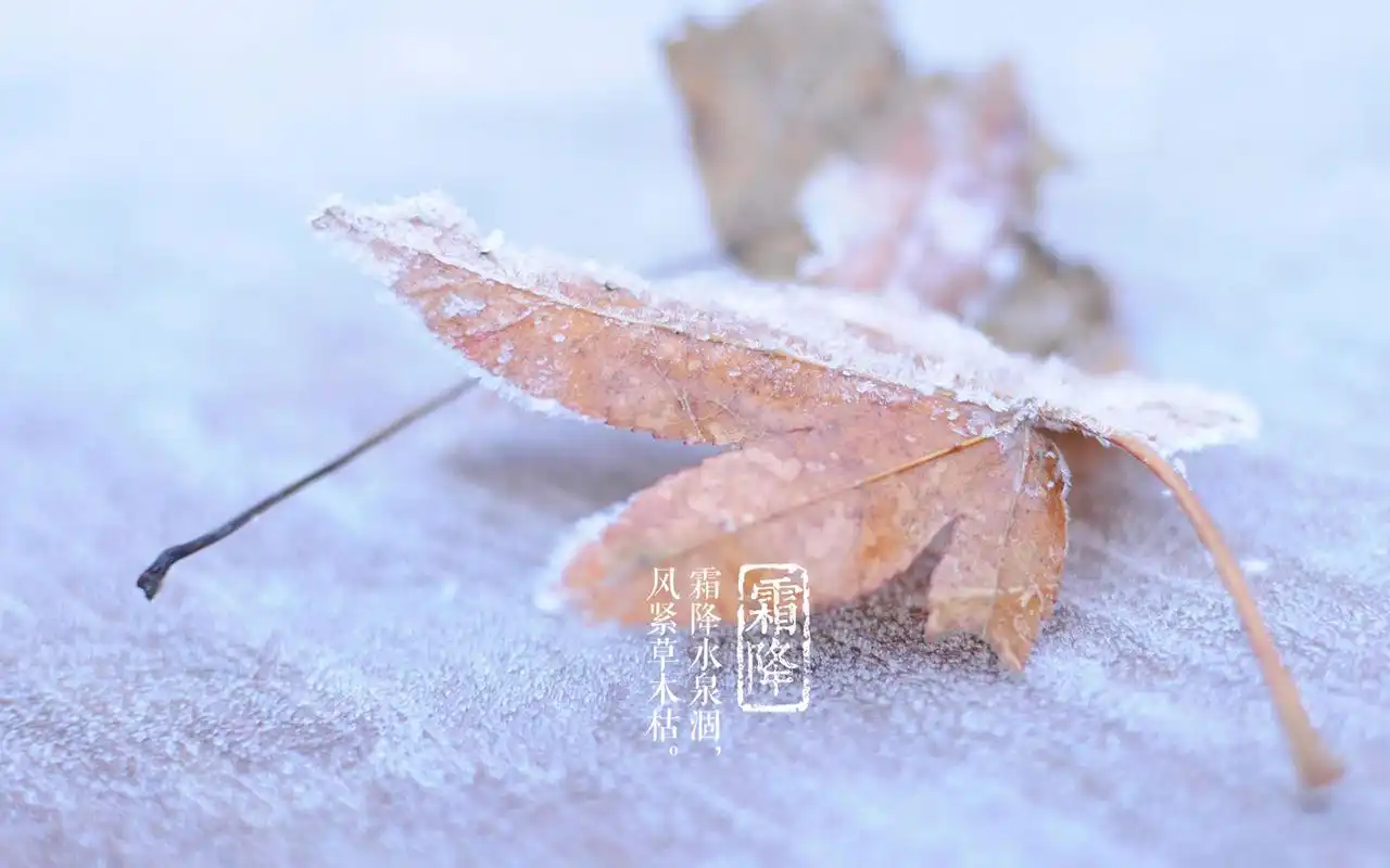 24节气霜降 雪景高清节气壁纸