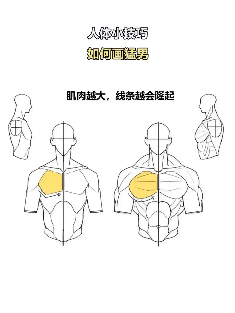 如何画一个肌肉男 #绘画 #图文伙伴计划 #绘画技巧教学