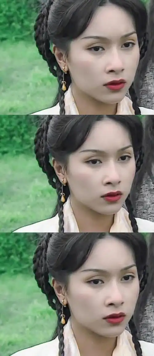 《雪花神剑》--杨恭如——梅绛雪6