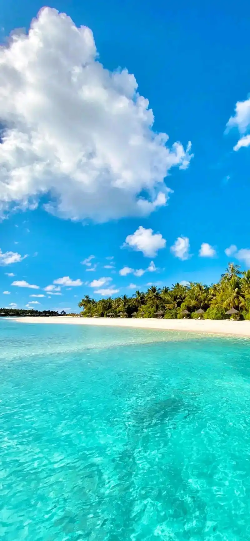 3.18全面屏高清手机壁纸