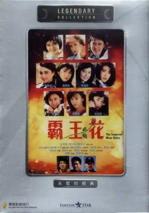 粤语影视 霸王花1国粤双语中字1024p高清mkv版[胡慧中/惠英红]   剧情