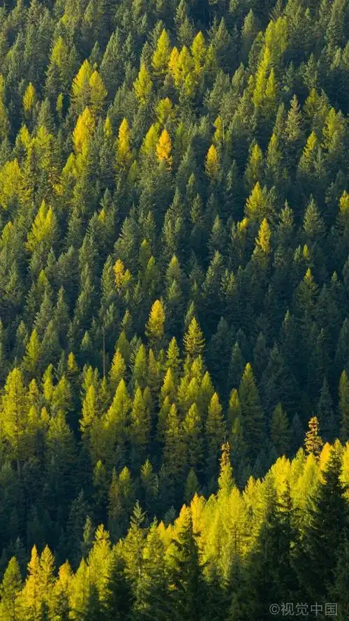 大自然 - 堆糖,美图壁纸兴趣社区