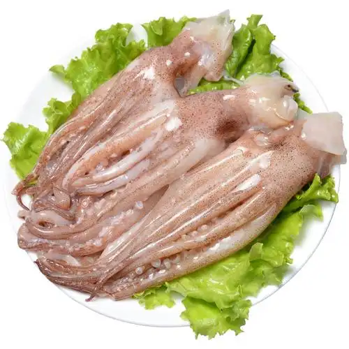 新野生鲜鱿鱼头鱿鱼爪鱿鱼须速冻海鲜爆炒烧烤铁板营养美味250g