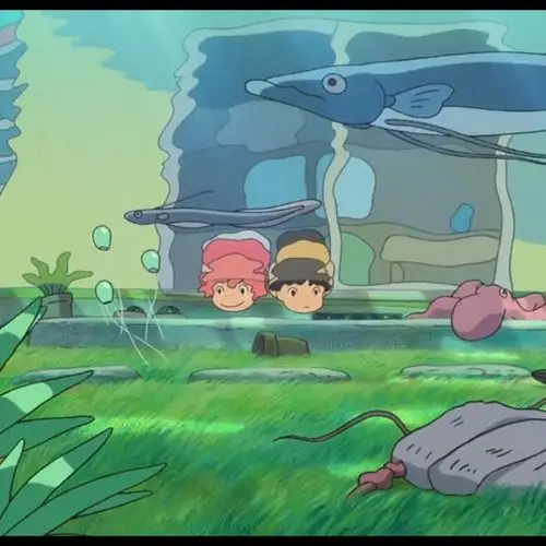 不等你来不要你来