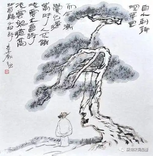 古诗词赏析 |《小松》杜荀鹤 |「唐诗」