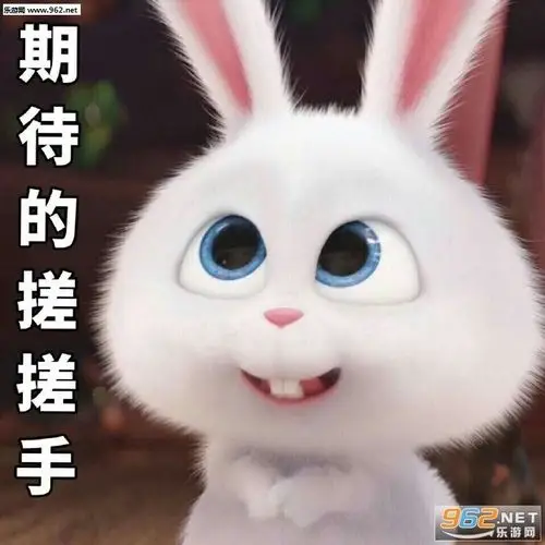 孔嘉懿的二年级成长手册(2019～2020)年度