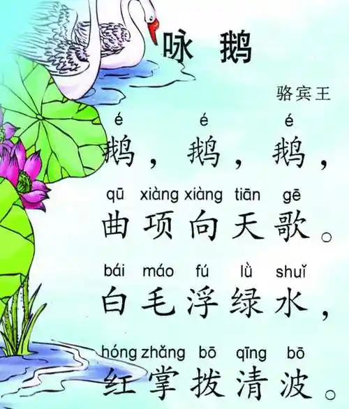 表示颜色的词:白毛,绿水,红掌 【原文】 《鹅》 骆宾王(唐) 鹅,鹅,鹅