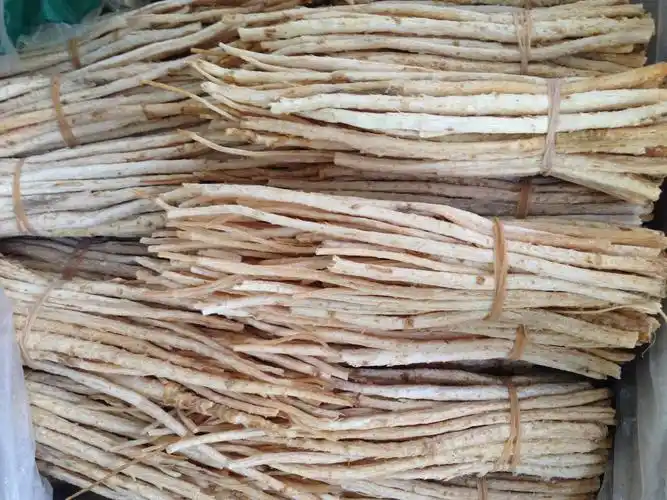 北沙参统货内蒙古