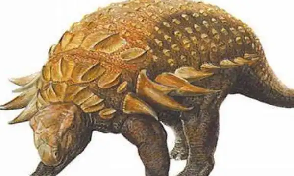 胄甲龙北美大型甲龙长7米尾巴占到三分之一