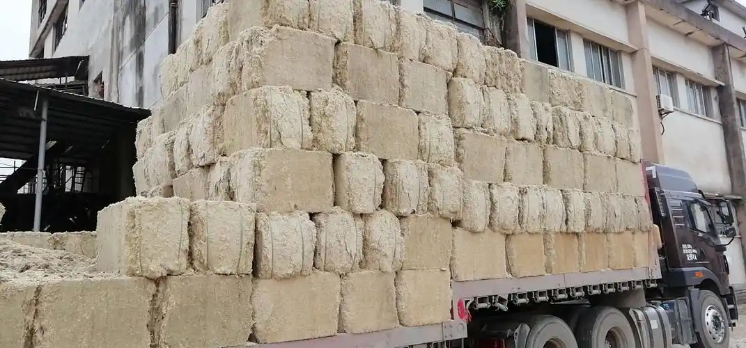 广东湛江粗细混合甘蔗渣