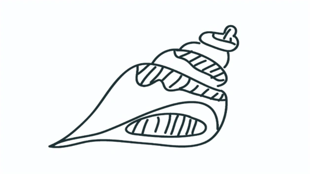 海螺的简单画法