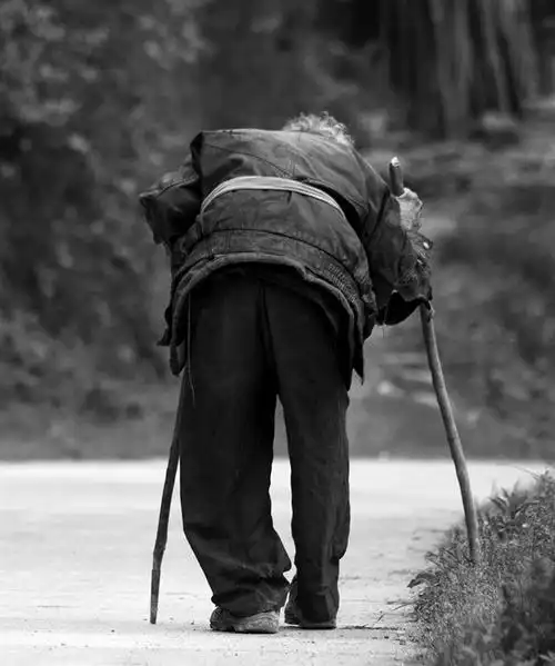 作品浏览—中国摄影报