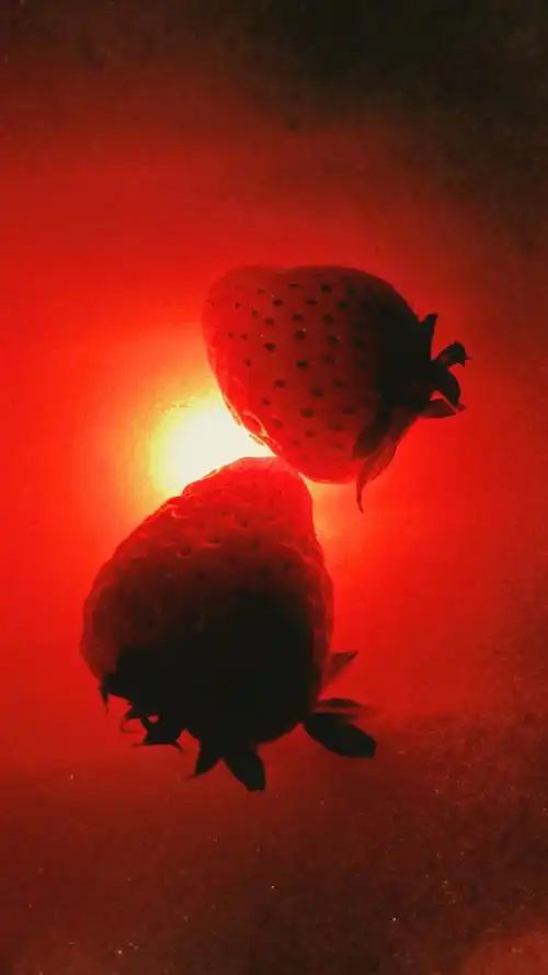 红色调手机记录生活发现不凡之美oppo02reno502pro025g0202