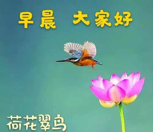 大家早上好图片