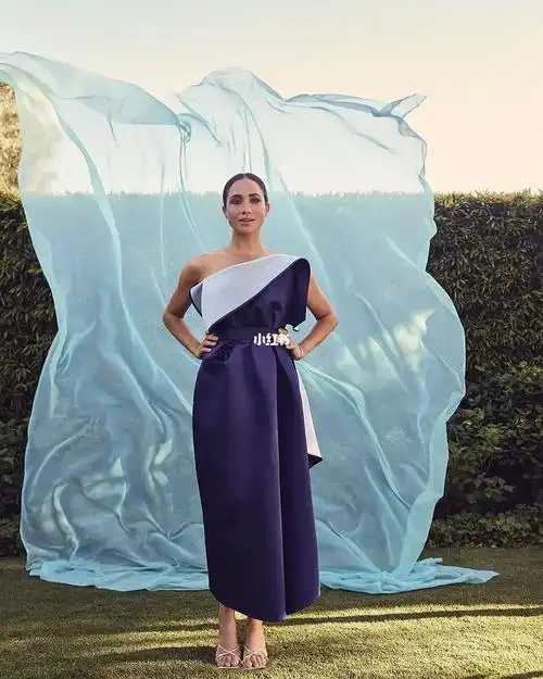 梅根这组片子反映了美国中产审美的变化.