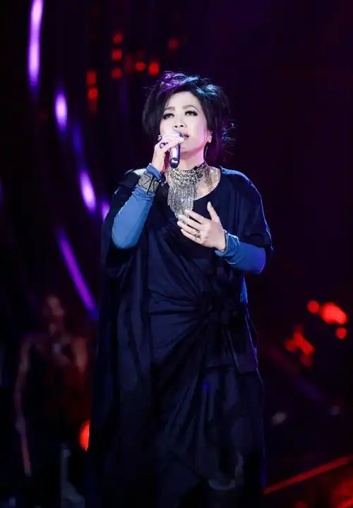 歌手2019齐豫第六期剧照图片