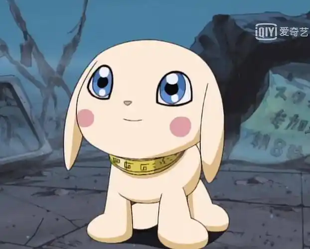 刚刚去搜了一下迪路兽