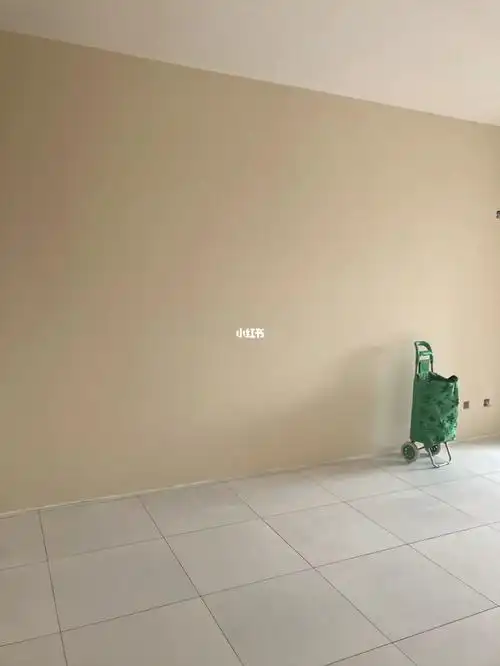 我家是客厅电视墙白色,顶面白色,其他的都刷的这个颜色