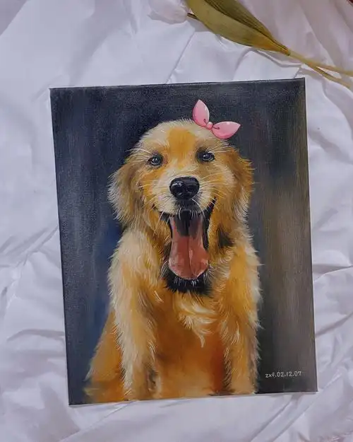 宠物油画爱宠金毛含步骤