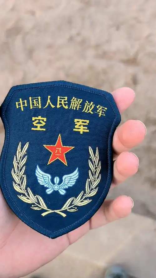 我原以为我的那枚臂章已经够抽象了