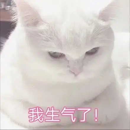 我生气了 - 一组超级软萌的猫咪表情包_猫咪_喵星人表情