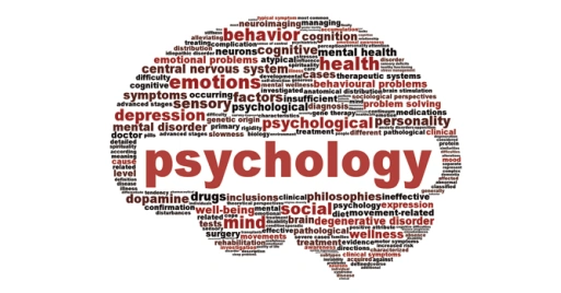 背景提升_思铺学院_worldshaper