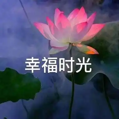 qq头像有字的荷花图片 荷花头像图片大全集 - 微信头像 - 潮人个性网