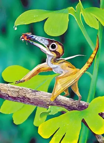 揭秘恐龙时代名副其实的空中巨无霸翼龙