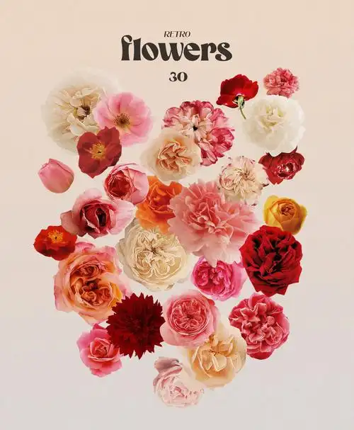 复古怀旧未来主义超现实数字拼贴艺术古董杂志书籍手工裁剪png素材包