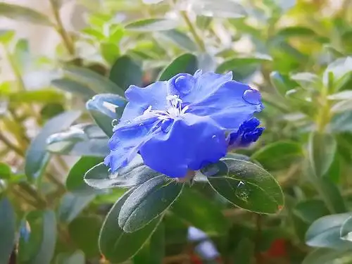 分享之乐 - 美篇