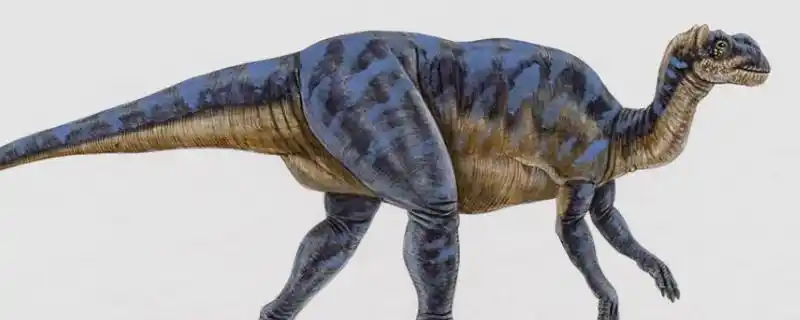 三叠纪龙有:板龙,虚形龙,黑瑞龙,里约龙,黑丘龙,钦迪龙,槽齿龙,优肢龙