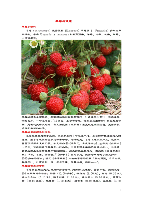 果品与健康--草莓.doc