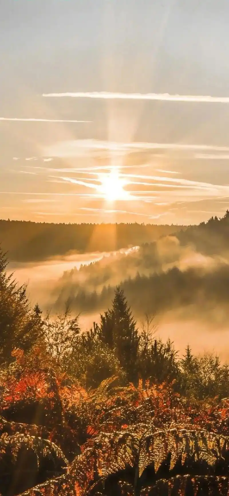 创作灵感 #4k超清无水印手机壁纸合集#高清风景手机壁纸# - 抖音