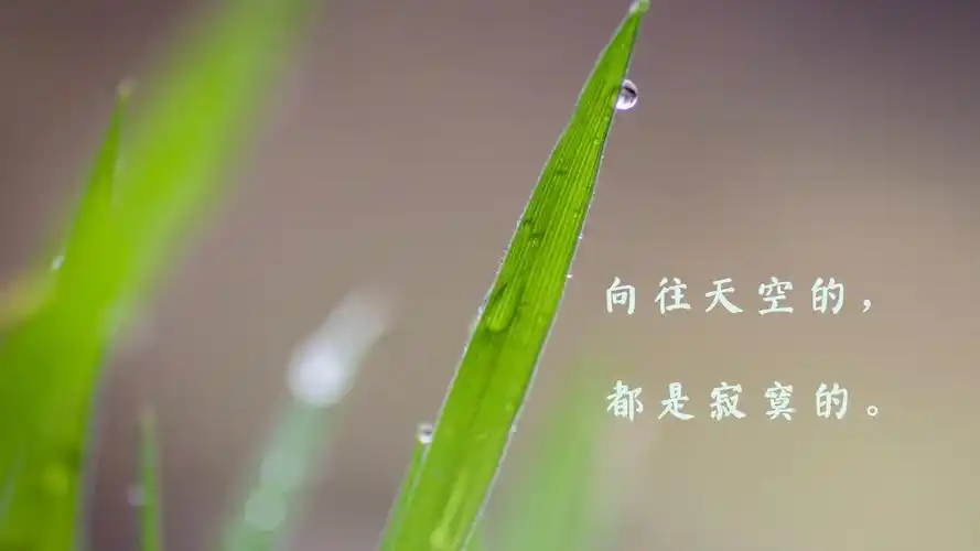 文字图片,非主流,心情,短句,文字,清新,非主流,文艺,电脑壁纸,壁纸