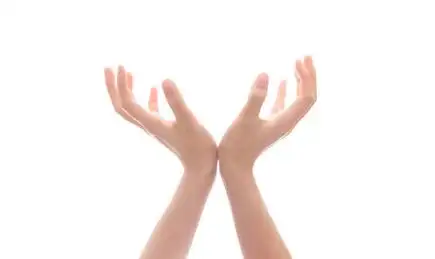 双手手腕贴在一起手掌自然弯曲向上托起