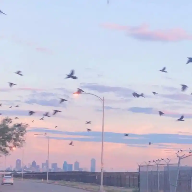 干净背景图纯净水