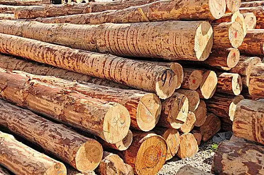 原木设计图片_原木设计图片大全_原木设计图片素材