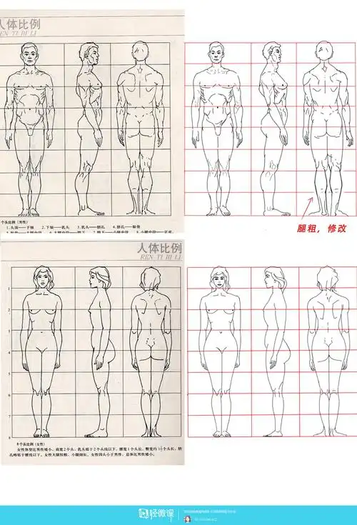 古风插画之人体比例