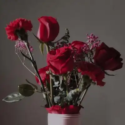 眠眠自拍照自调色 ins风 朋友圈背景 红色玫瑰花