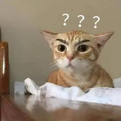 猫咪疑惑问号表情包 - 一组疑惑问号表情包