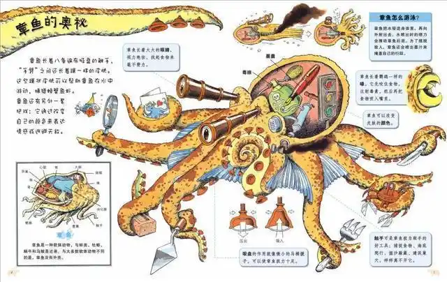 章鱼应该来自外星多个研究表明科学家的怀疑或许是对的