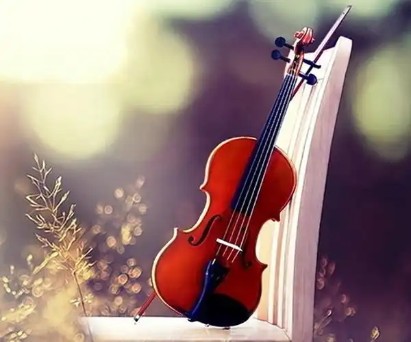 武音中南-小提琴培训