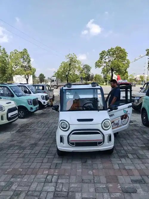 恭喜 周女士 喜提特鲁夫电轿!#接送孩子上下学代步车 #四轮 - 抖音